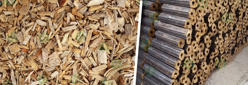 Wood chips are made into biomass briquette fuel
