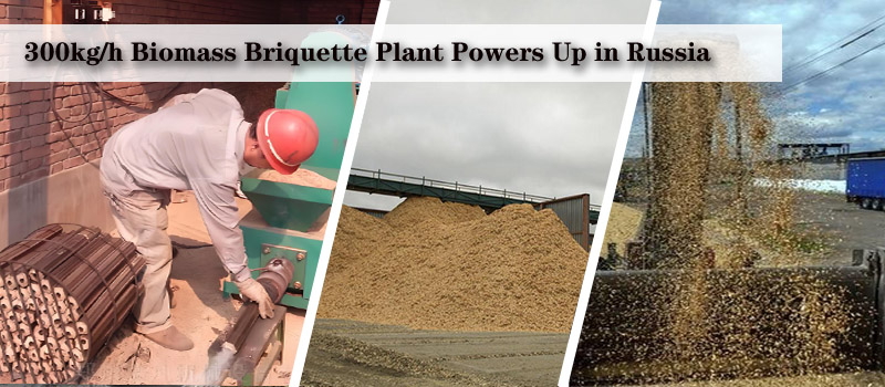 300kg/h Biomass Briquette Plant Powers Up in Russia